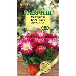 Маргаритка Бам-бам красная (Гавр)