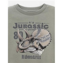 CROCKID Свитшот КР 302843