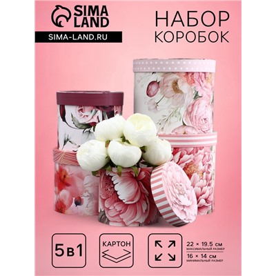 Набор шляпных коробок для цветов 5 в 1, упаковка подарочная, «Бутон», 16×14 см - 22×19.5 см