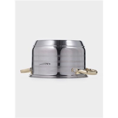 Кастрюля Катунь «ЭЛИС ГОЛД», 3.5 л, 20×12.5 см, стеклянная крышка, нержавеющая сталь, ручки золотистые