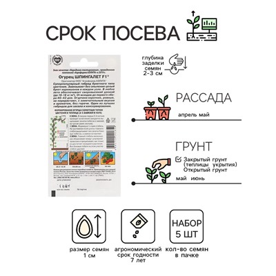 Семена Огурец "Шпингалет" F1, партенокарпический, набор 5 шт