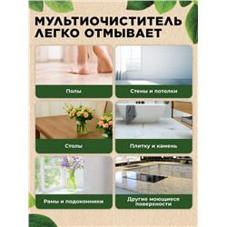 Концентрированный гель-мультиочиститель Home Gnome Greenly