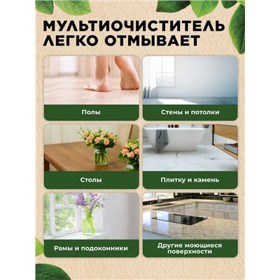Концентрированный гель-мультиочиститель Home Gnome Greenly