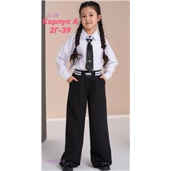 штаны 1980509-2