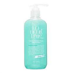 LODEURLETTE Парфюмированный шампунь для волос c ароматом детской присыпки / In England Colorfit Powdery Breeze Hair Shampoo, 500 мл