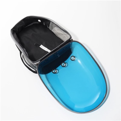 Рюкзак для переноски кошек и собак, 33×25×41 см, прозрачный, с напылением