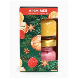 Мёд кремовый новогодний, с кусочками сублимированного апельсина, малины, набор 2 шт.×30 г