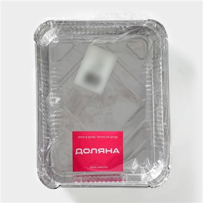 Формы для выпечки и запекания Доляна, набор 2 шт., 1.1 л, 22.5×17.5×3.5 см, фольга, серебристые