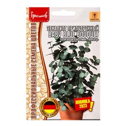 Семена Эвкалипт Baby Blue Bouquet припудренный 3шт. / НОВИНКА  12.29 г.
