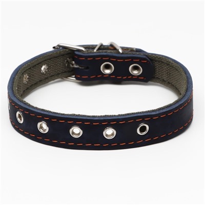 Ошейник комбинированный, безразмерный, 54×2.5 см, ОШ 17-45 см, кожа, брезент, синий