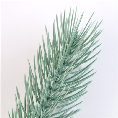 Ветка еловая голубая, 21×4 см, набор 10 шт.