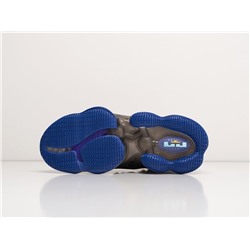 Кроссовки Nike Lebron XIX
