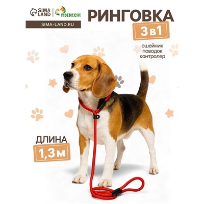 Ринговка для собак, 130×1 см, красная