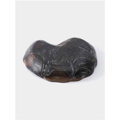 Тарелка «Ракушка», 26×23×3 см, дерево джати, тёмно-коричневая