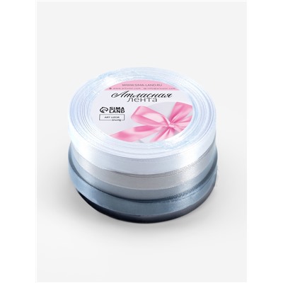 Набор атласных лент, 5 шт., размер 1 ленты: 10 мм × 23 ± 1 м, цвет серый спектр