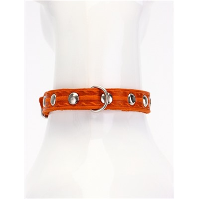 Ошейник, 29×1.2 см, ОШ 18-25 см, однослойный, украшенный, кожа, цвет МИКС