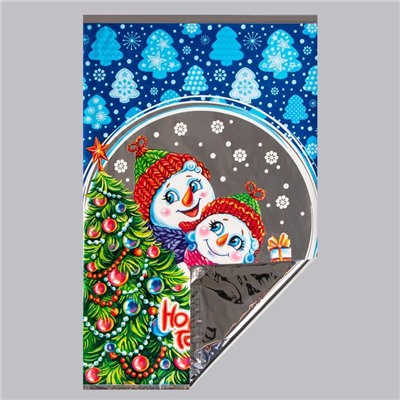 Пакет подарочный новогодний «Озорники», для сладких подарков, 25×40 см