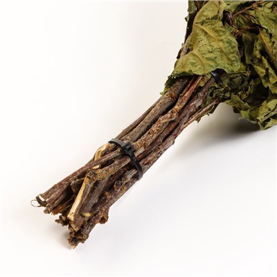 Веник для бани, дубовый, в пакете