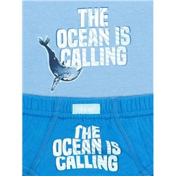 PELICAN Комплект BUAVL3223