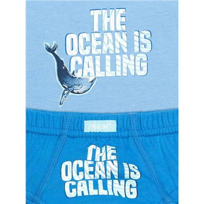 PELICAN Комплект BUAVL3223