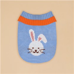 Свитер для животных «Зайка», XS (ДС 17, ОШ 17, ОГ 23-37 см)