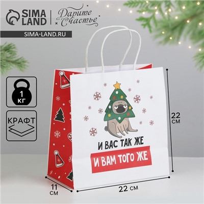 Пакет подарочный новогодний «А вас также», 22×22×11 см