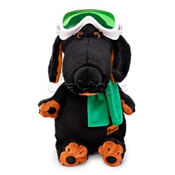 Собака Ваксон в горнолыжных очках