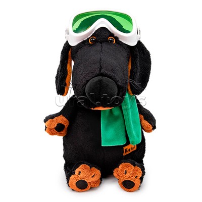 Собака Ваксон в горнолыжных очках