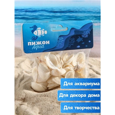 Набор ракушек, 2 - 3.5 см, 100 г