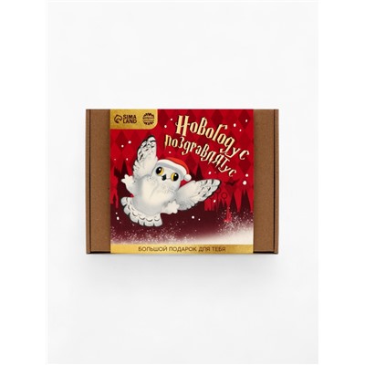 Подарочный набор новогодний гифтбокс «Новогодус Поздравлятус»