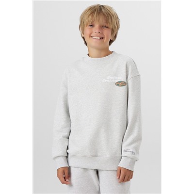 Комплект (Свитшот+Брюки) MARK FORMELLE, 1192383