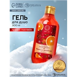 Гель для душа, 300 мл, аромат пряного глинтвейна, URAL LAB