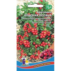 Брусника Красная Поляна (УД)