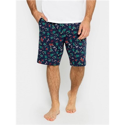 ШОРТЫ МУЖСКИЕ 531027-1