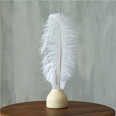 Перо для декора 1 шт., длина от 45 до 50 см, цвет белый