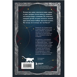 Эксмо Анна Гребенникова "Котики в мировой культуре. Как котики проникли не только в наши дома и сердца, но и в наши сны, сказки и заклинания (книга+закладка)"