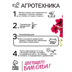 Семена Цветов Петуния "Тайдал Вейв Ред Велюр", 5 шт