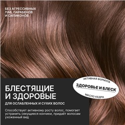 Шампунь для сухих и ослабленных волос с маслом кедра и экстрактом календулы, здоровые и блестящие, 300 мл, ECO LAB by URAL LAB