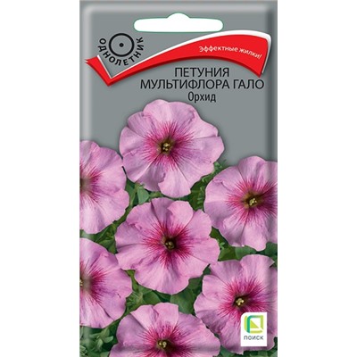 Петуния Гало Орхид (Код: 92834)
