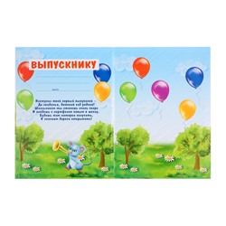 Папка на выпускной «Выпускник детского сада», А4, без файлов