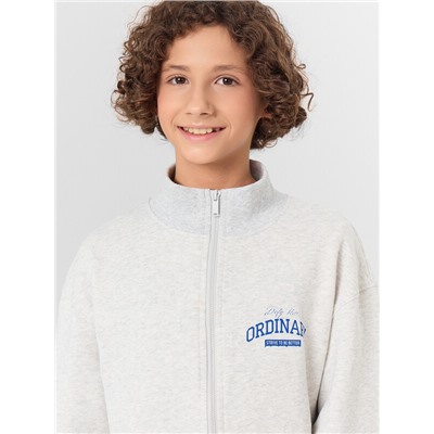 ТОЛСТОВКА ДЛЯ МАЛЬЧИКОВ 123448