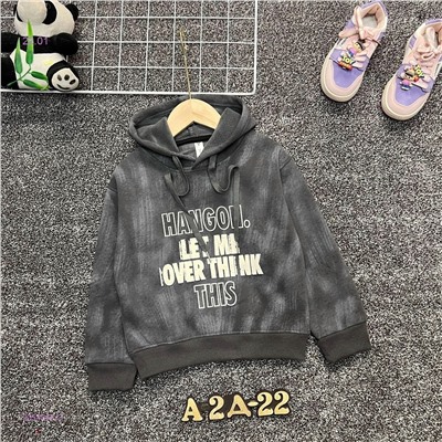 кофта с начесом 2054862-3