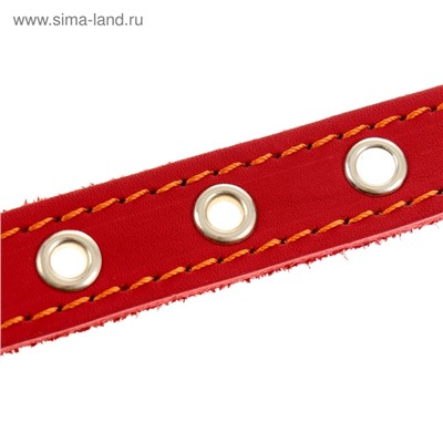 Ошейник кожаный однослойный безразмерный, 45×2 см, ОШ 18-39 см, красный