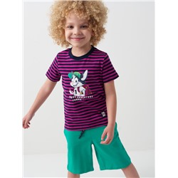 Фуфайка трикотажная для мальчиков (футболка)