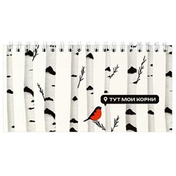 Еженедельник недатированный на спирали 165х85 мм 128 стр. 71597 "БЕРЕЗА" Феникс