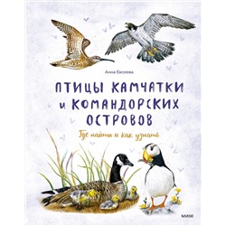 Эксмо Анна Евсеева "Птицы Камчатки"