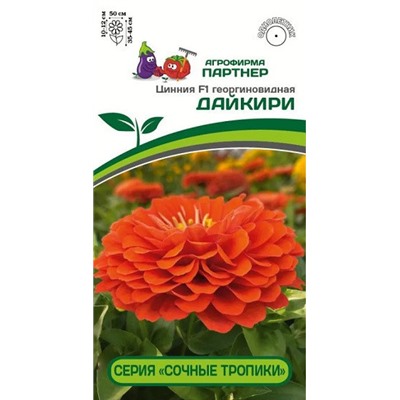 3368P Цинния F1 ДАЙКИРИ / георгиновидная 4 шт