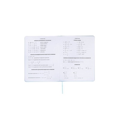 Дневник школьный 1-11 класс, deVENTE. deVENT.Flower, ляссе, голубой
