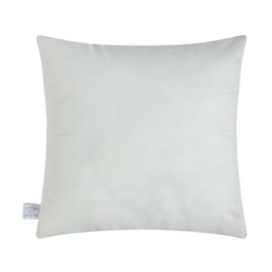 Наволочка декоративная «Этель. C 23 февраля», 40×40 см, велюр