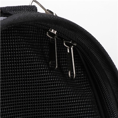 Сумка - переноска для животных «Зимние коты», размер M, 40×21×27 см